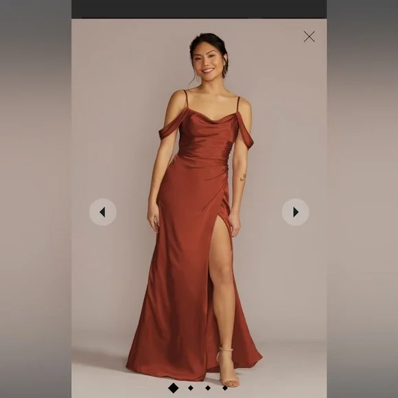 David's Bridal | Dresses | Daviss Bridal Gown Excellent Condition Cinnamon Size 8 | Poshmark David's Bridal | Dresses | Daviss Bridal Gown Excellent Condition Cinnamon Size 8 | Poshmark
